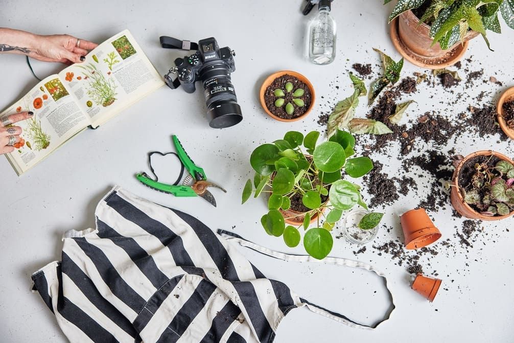 A person is sitting at a table with potted plants and a camera.