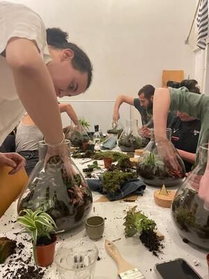 A group of people are working on a terrarium at a table.