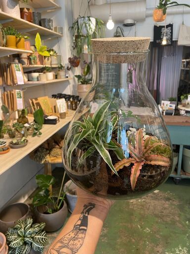 A person is holding a glass vase filled with plants in a store.