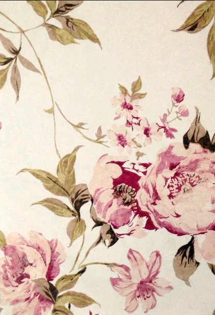 A white background with pink flowers and green leaves