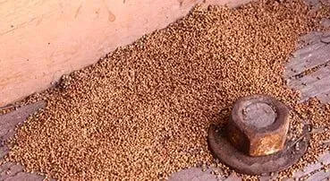 termite control albury