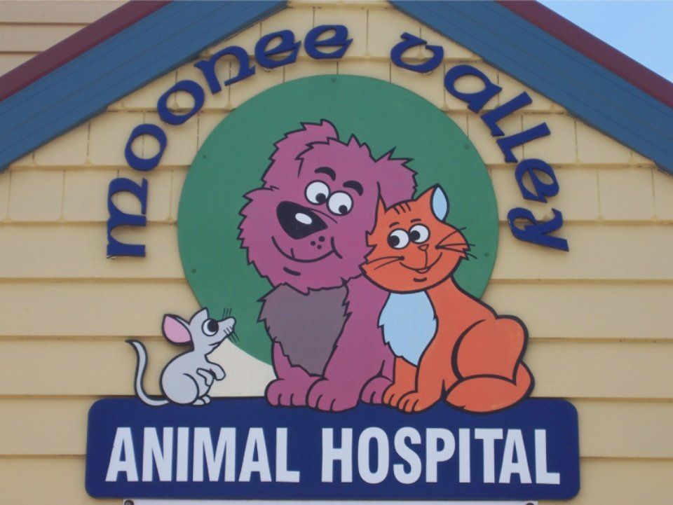 Moobee Valley animal hospital