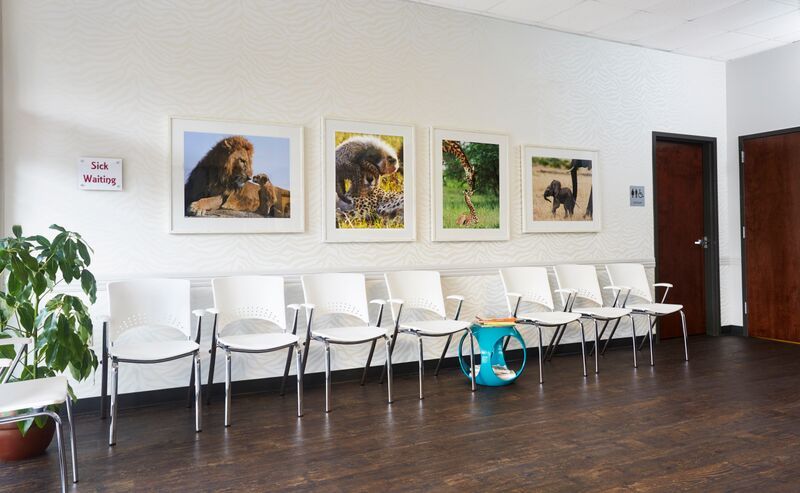 A waiting room with white chairs and pictures on the wall