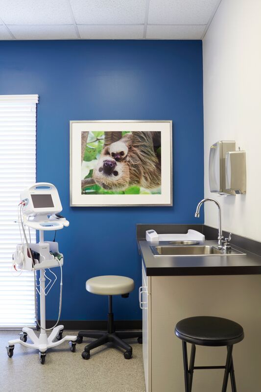A blue wall with a picture of a sloth on it