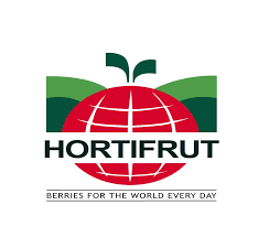 Logotipo para Hortifrut: globo rojo con cuadrícula y hojas blancas, colinas verdes, texto “HORTIFRUT” y lema “Bayas para el mundo todos los días”.