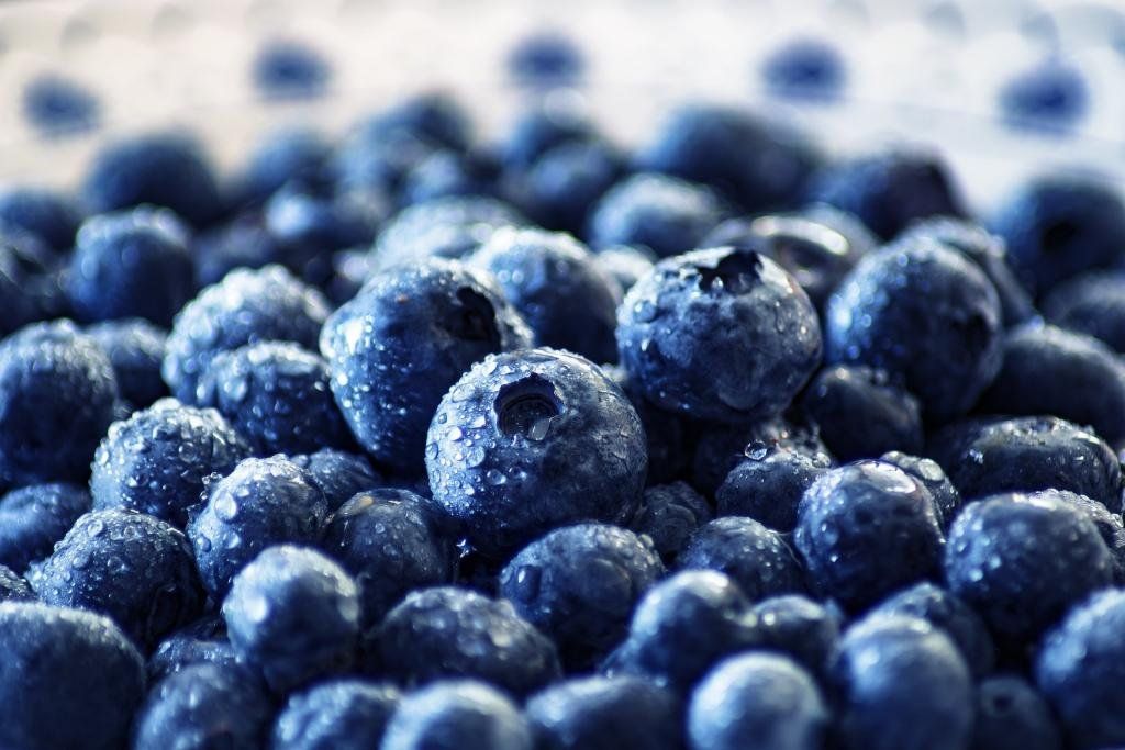 SAT HORTIFRUT