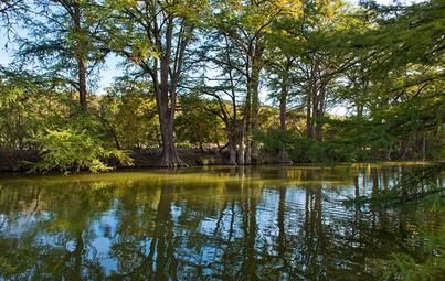 A lake surrounded by trees on a sunny day