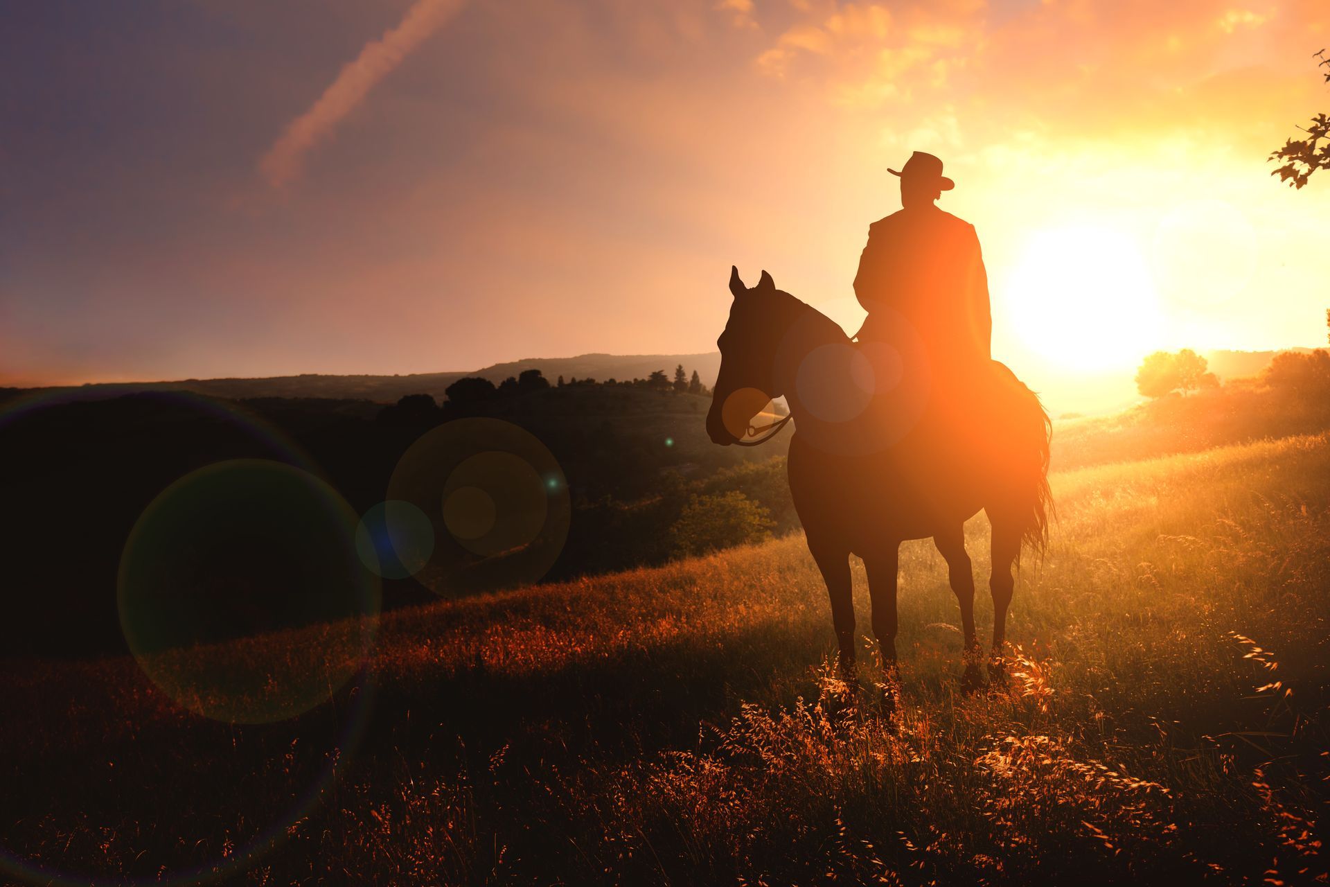 A cowboy is riding a horse in a field at sunset.