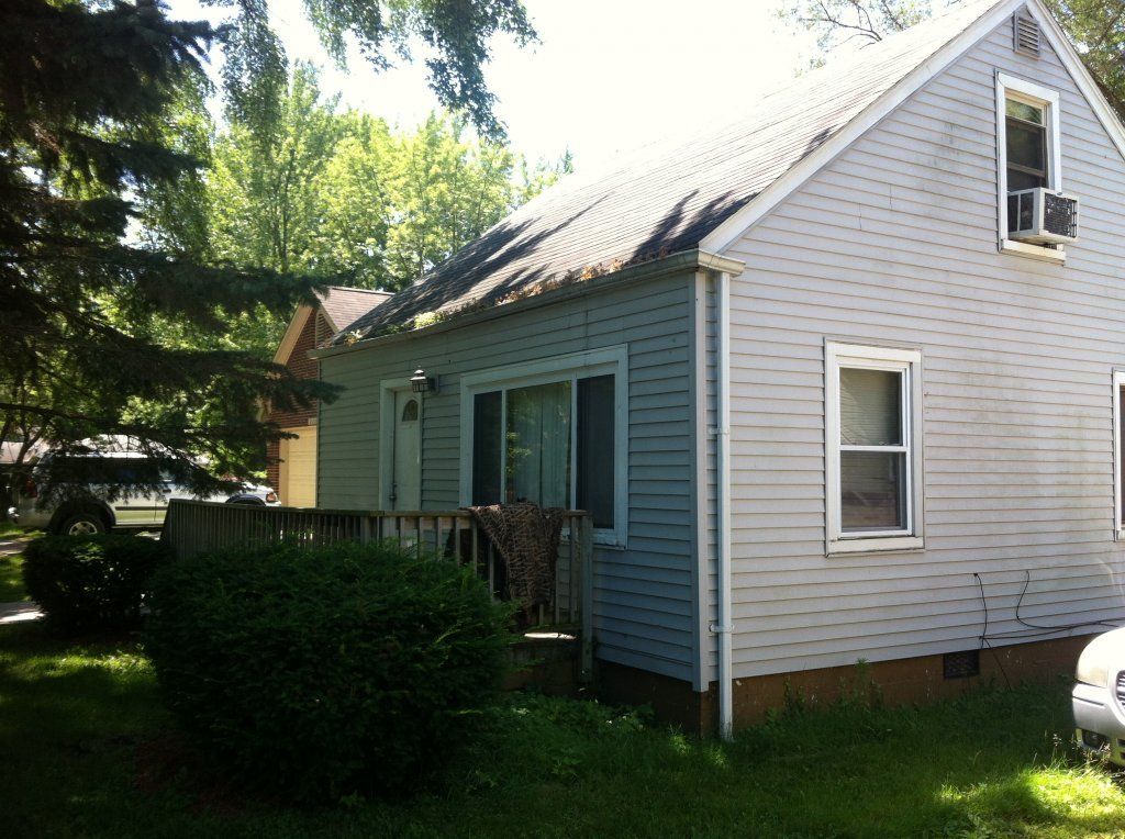 Front Plant Growth And Debris — Southfield, MI — Henderson’s Gutter Cleaning Service