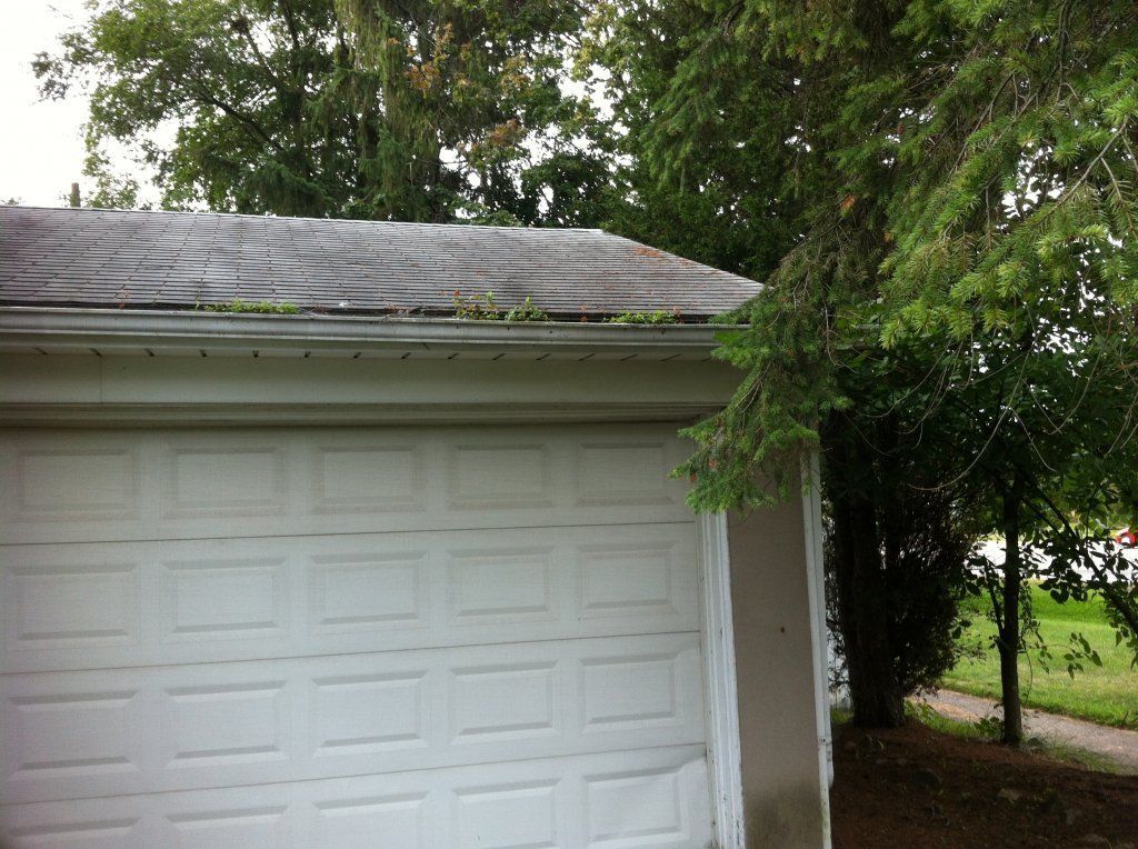 Garage Plant Growth And Debris — Southfield, MI — Henderson’s Gutter Cleaning Service