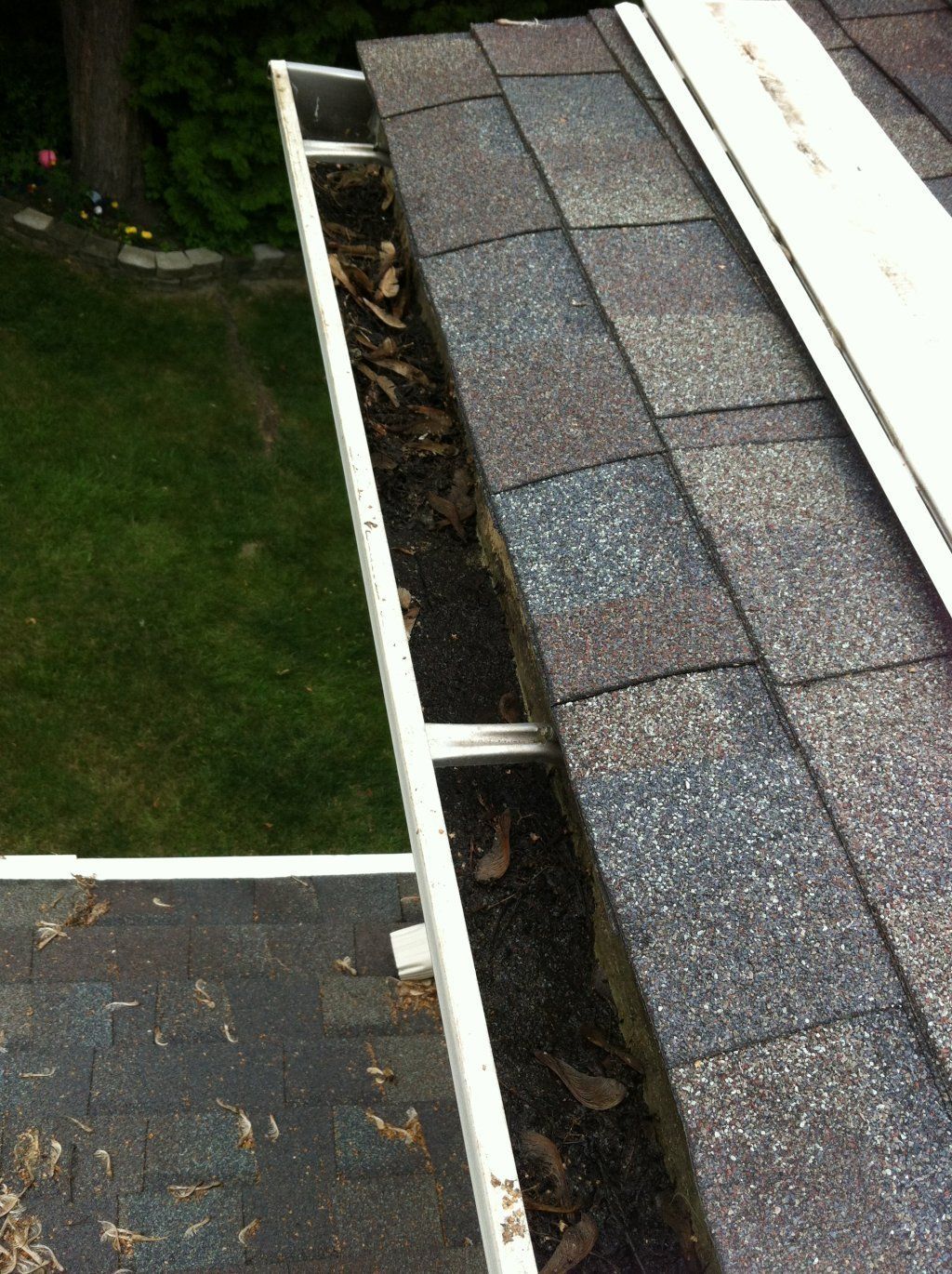 Seeds And Soil Buildup — Southfield, MI — Henderson’s Gutter Cleaning Service