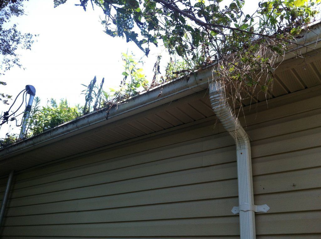 Plant Growth And Debris Inside Gutter — Southfield, MI — Henderson’s Gutter Cleaning Service