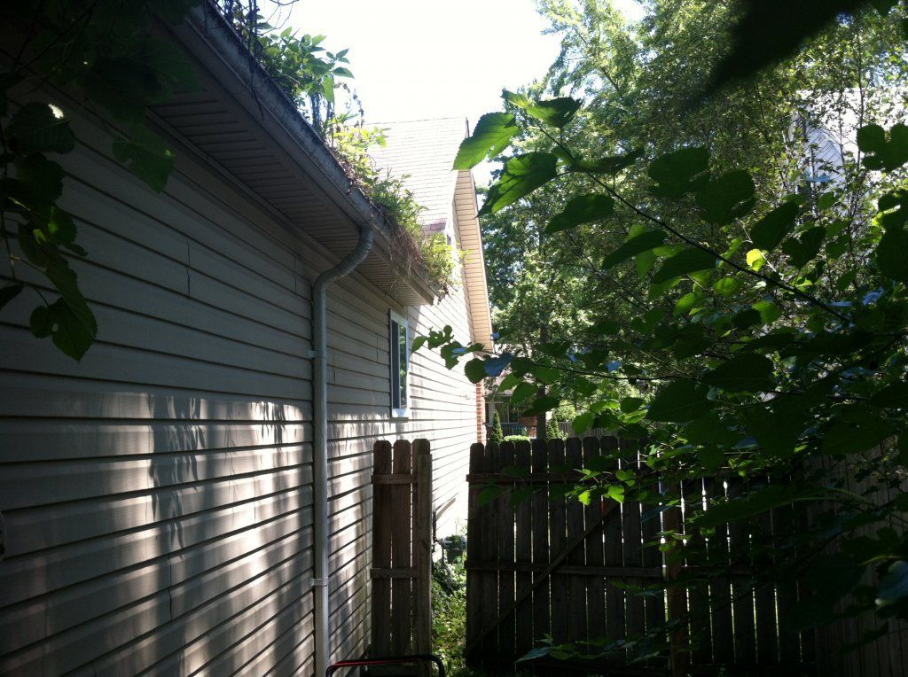 Extreme Plant Growth And Debris — Southfield, MI — Henderson’s Gutter Cleaning Service