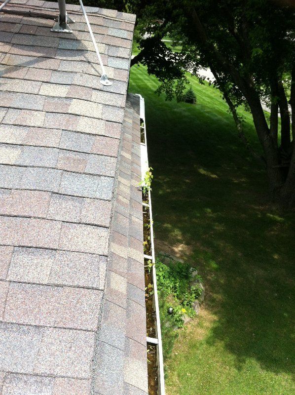 Plant Growth On Gutter — Southfield, MI — Henderson’s Gutter Cleaning Service