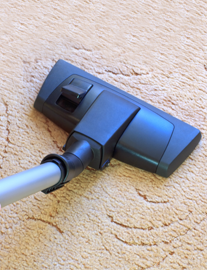 Vacuuming the Carpet