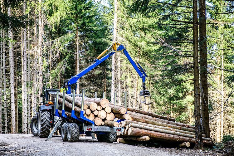 Blue logging machine loading logs in a forest.