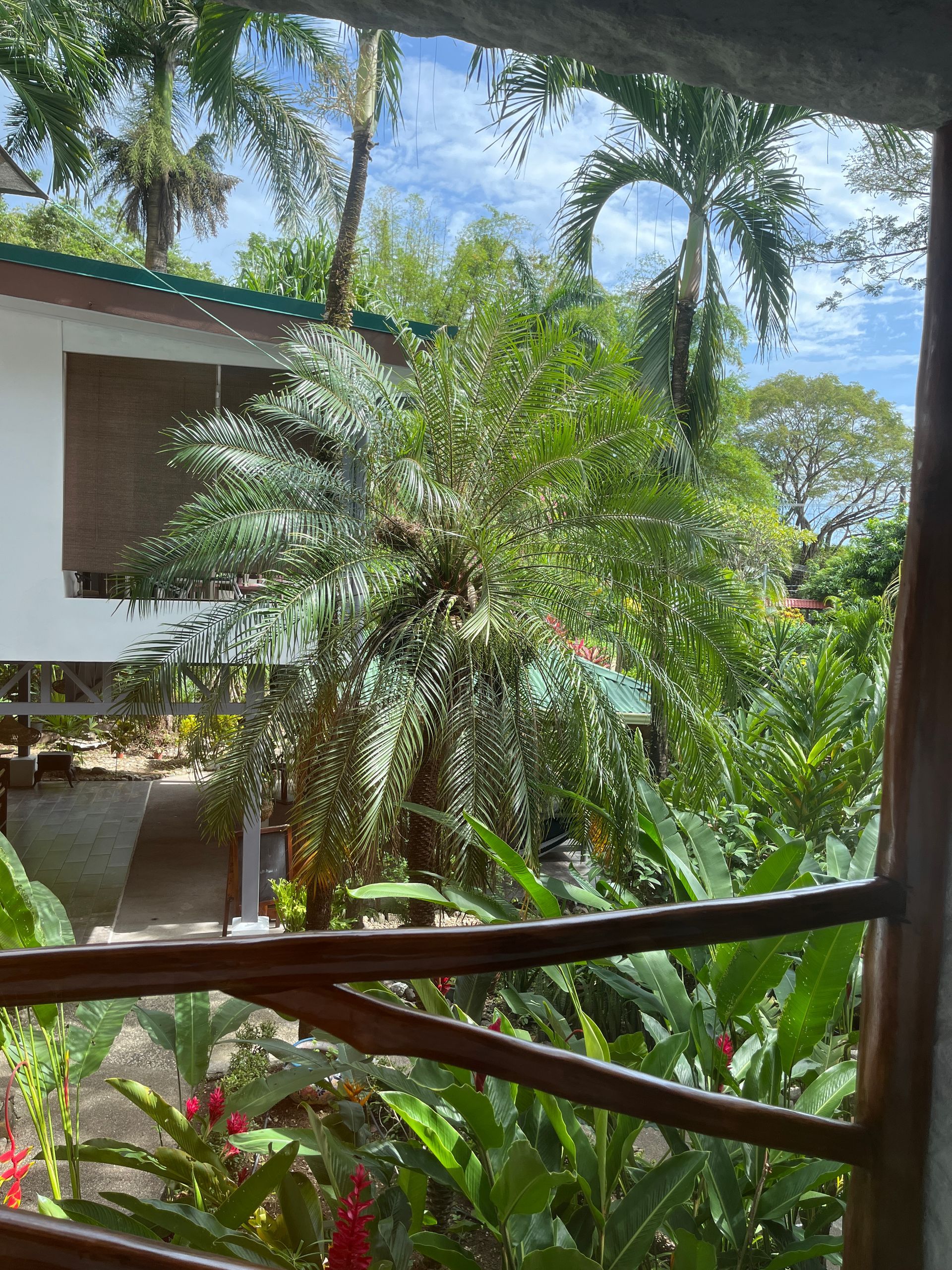 A view of a lush green garden from a balcony.