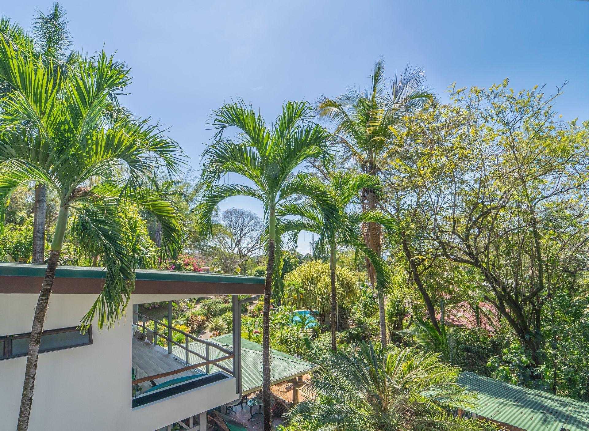 A view of a house surrounded by palm trees on a sunny day.