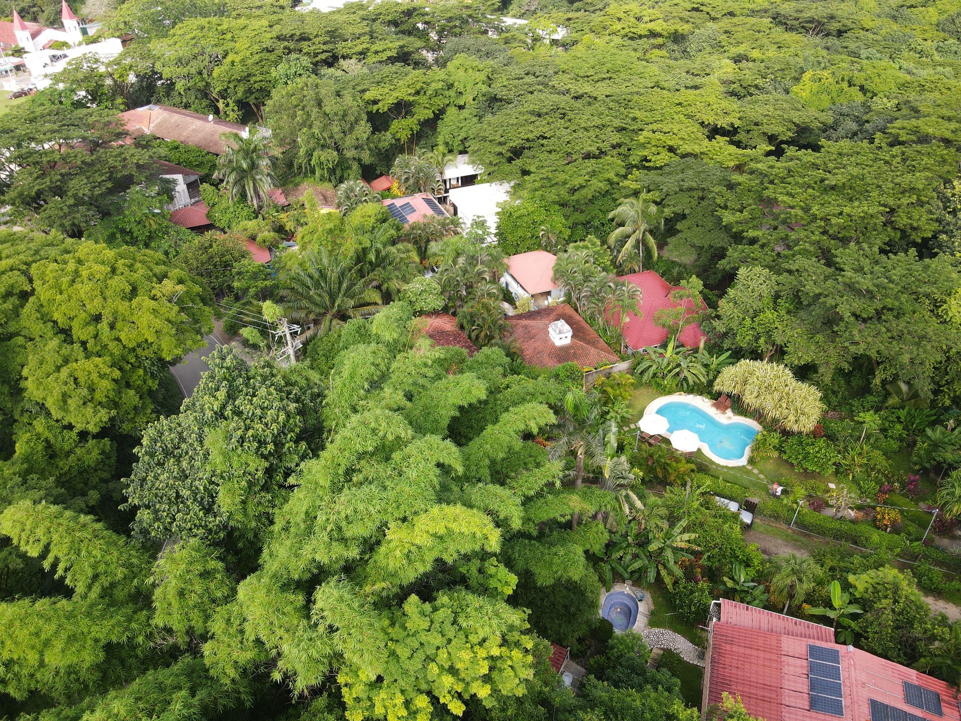 An aerial view of a lush green forest with a swimming pool in the middle.