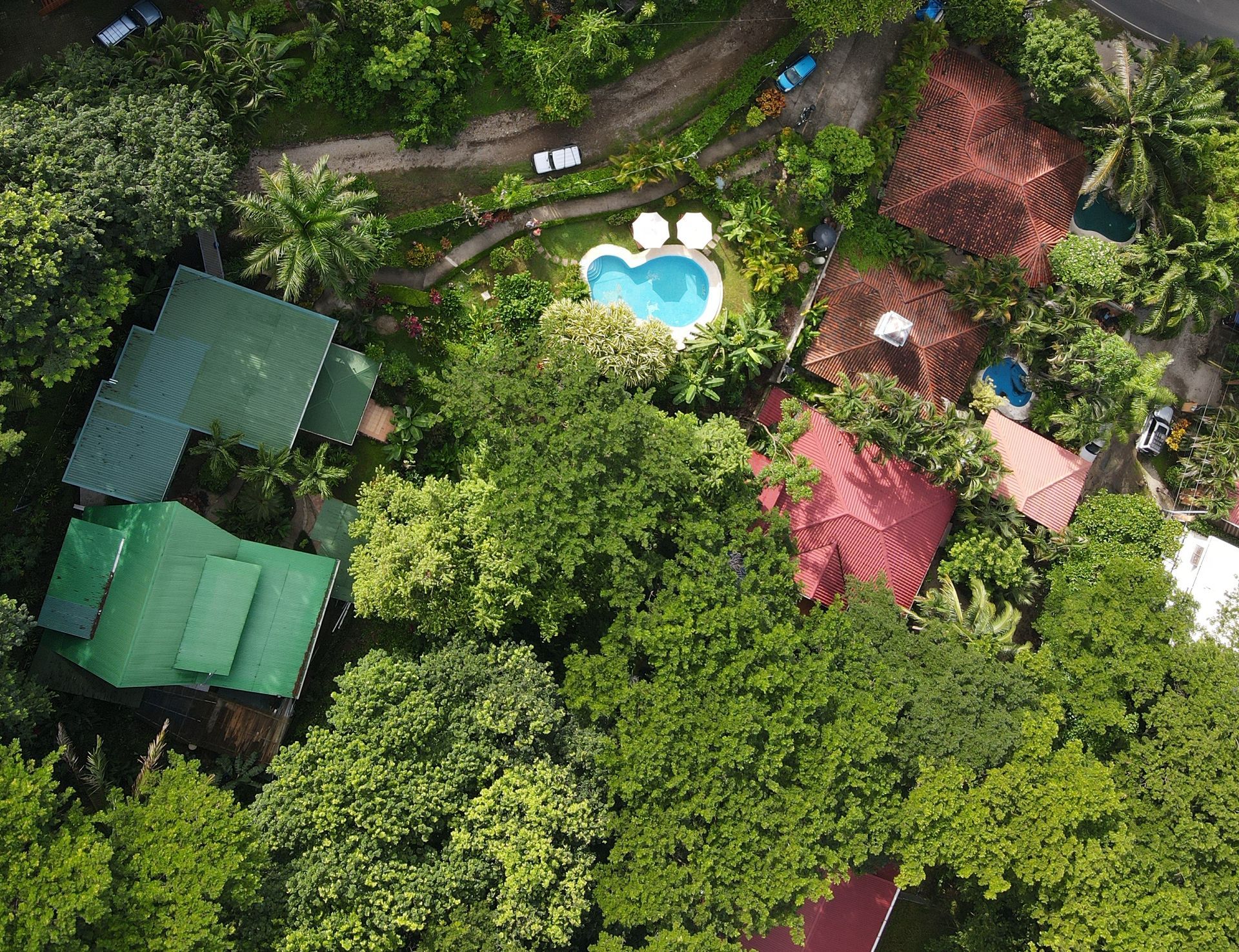 An aerial view of a lush green forest with houses and a pool.