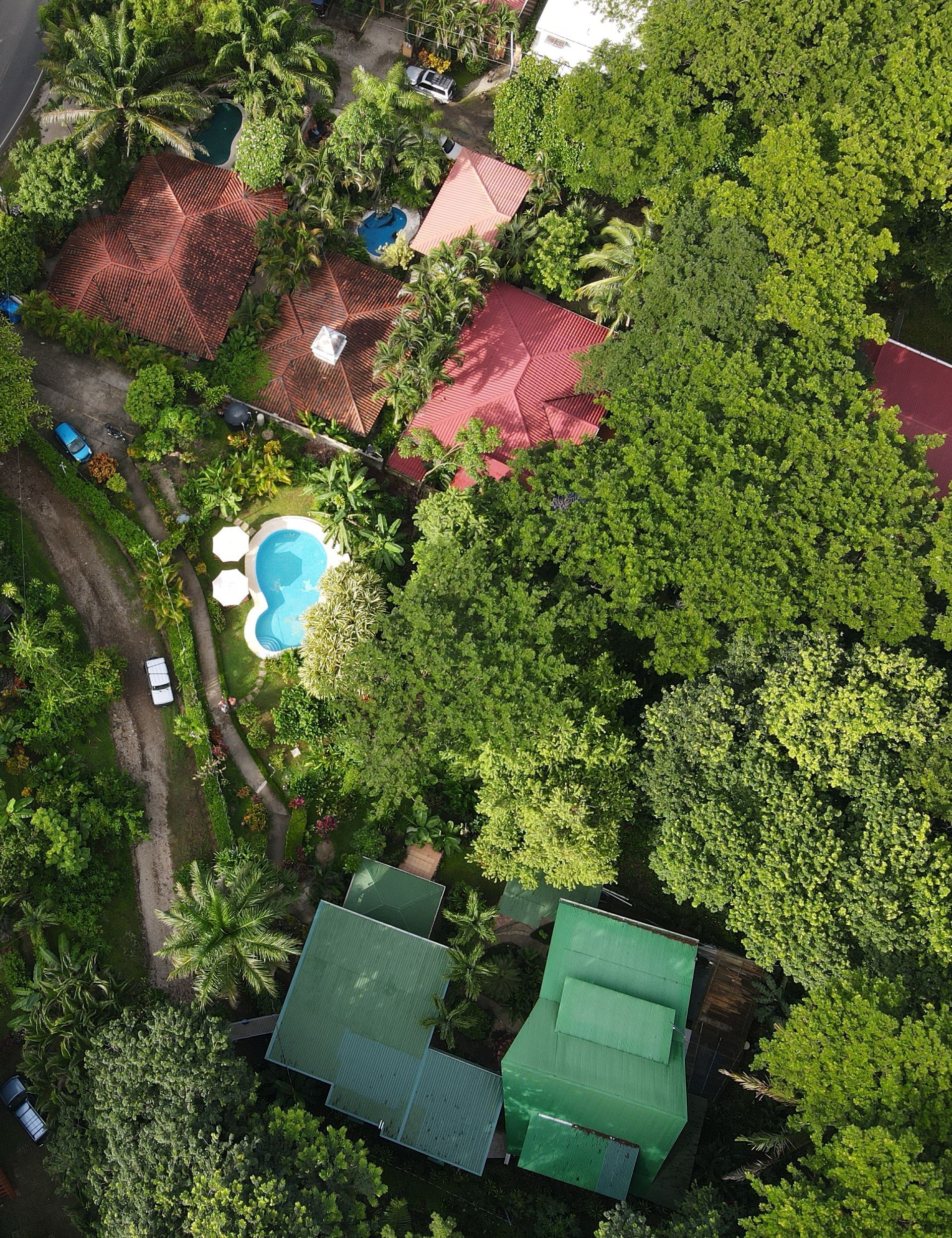 An aerial view of a lush green forest with houses and a pool