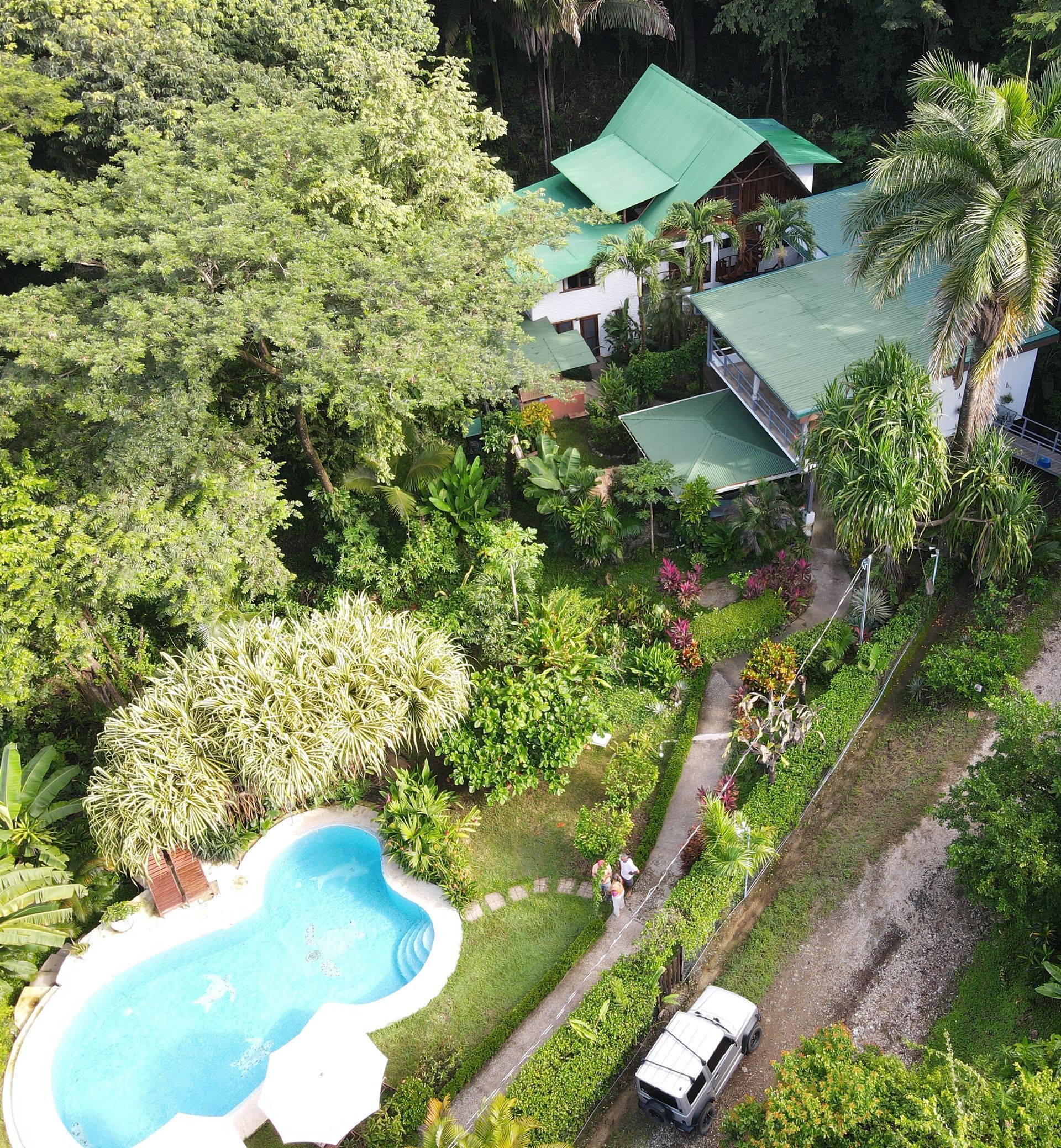 An aerial view of a house with a pool in the middle of a lush green forest.