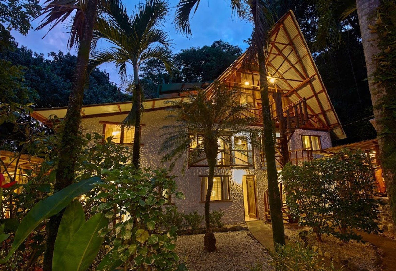 A house in the middle of a lush green forest at night