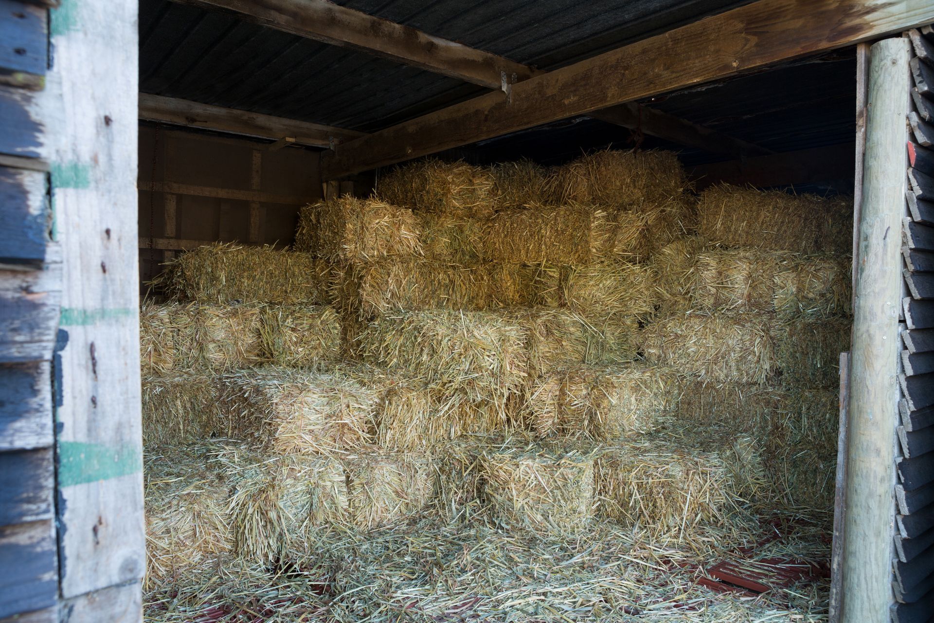 Hay bales stacked inside a wooden barn, viewed from the doorway.