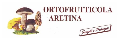 ORTOFRUTTICOLA ARETINA-LOGO
