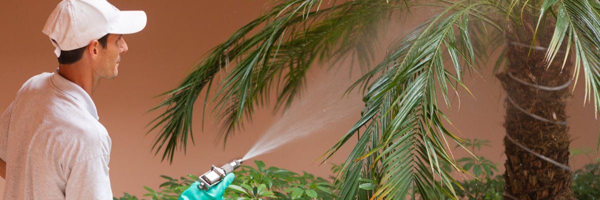 keira pest control technician high pressure spray