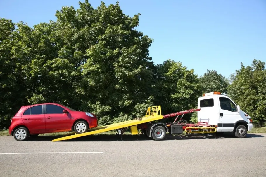 Red car loaded on a tow truck with a white cab, parked beside trees on a road.