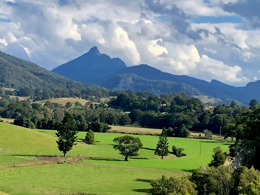A River Surrounded by Trees and Mountains on A Sunny Day — Fortress Locksmiths & Security in Murwillumbah, NSW