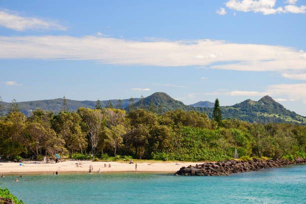 A Road Going Through a Forest with A Mountain in The Background — Fortress Locksmiths & Security in Mullumbimby, NSW