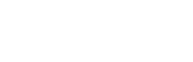 WS inspections logo with simplistic roof over top