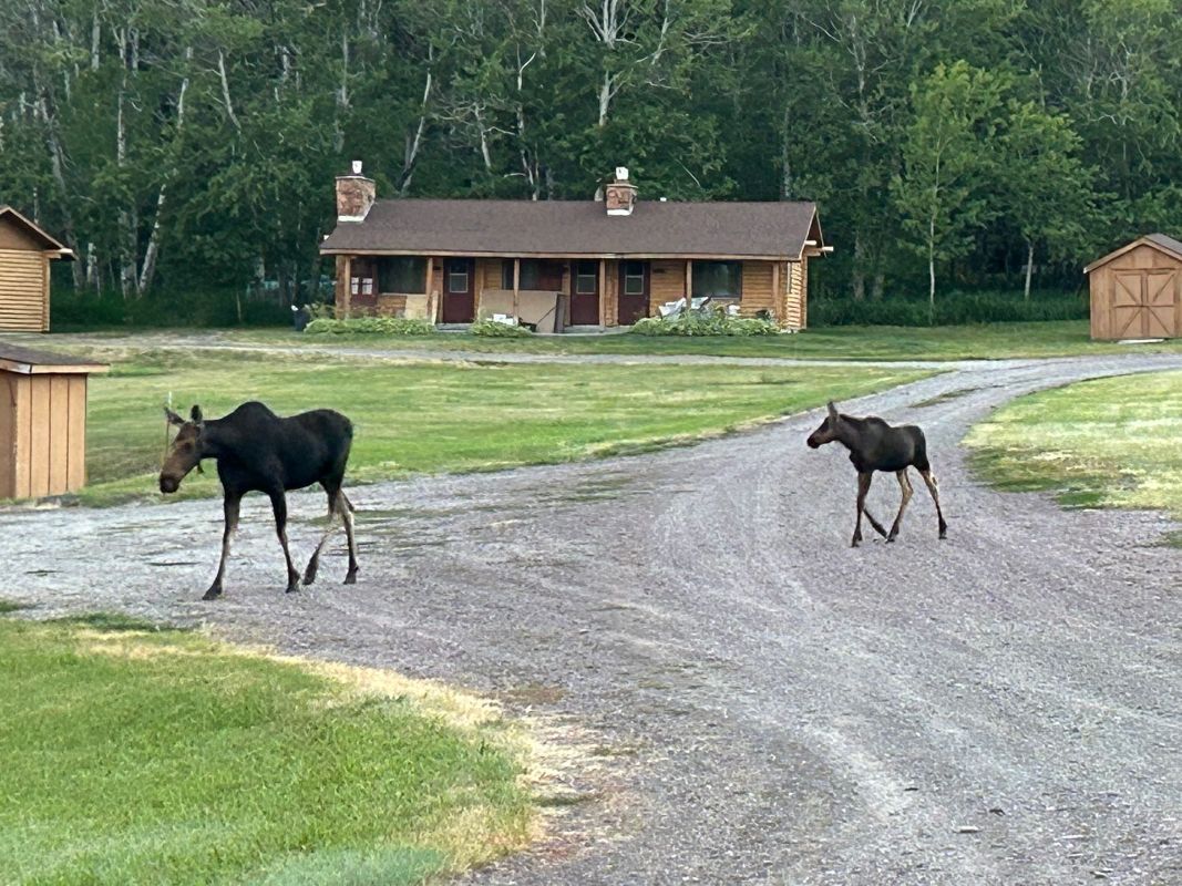 About Grassy Mountain Ranch | Rental Cabins in Montana