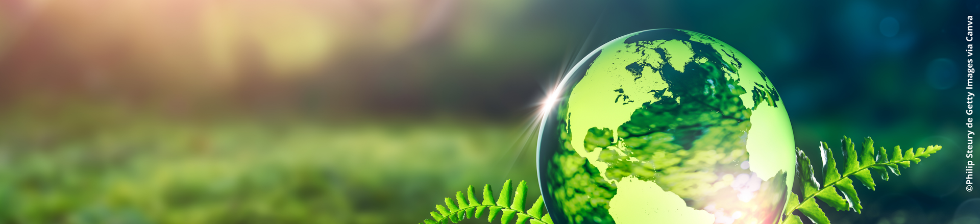 Globe en verre vert orné d'une carte du monde, d'une fougère et d'un fond vert flou.