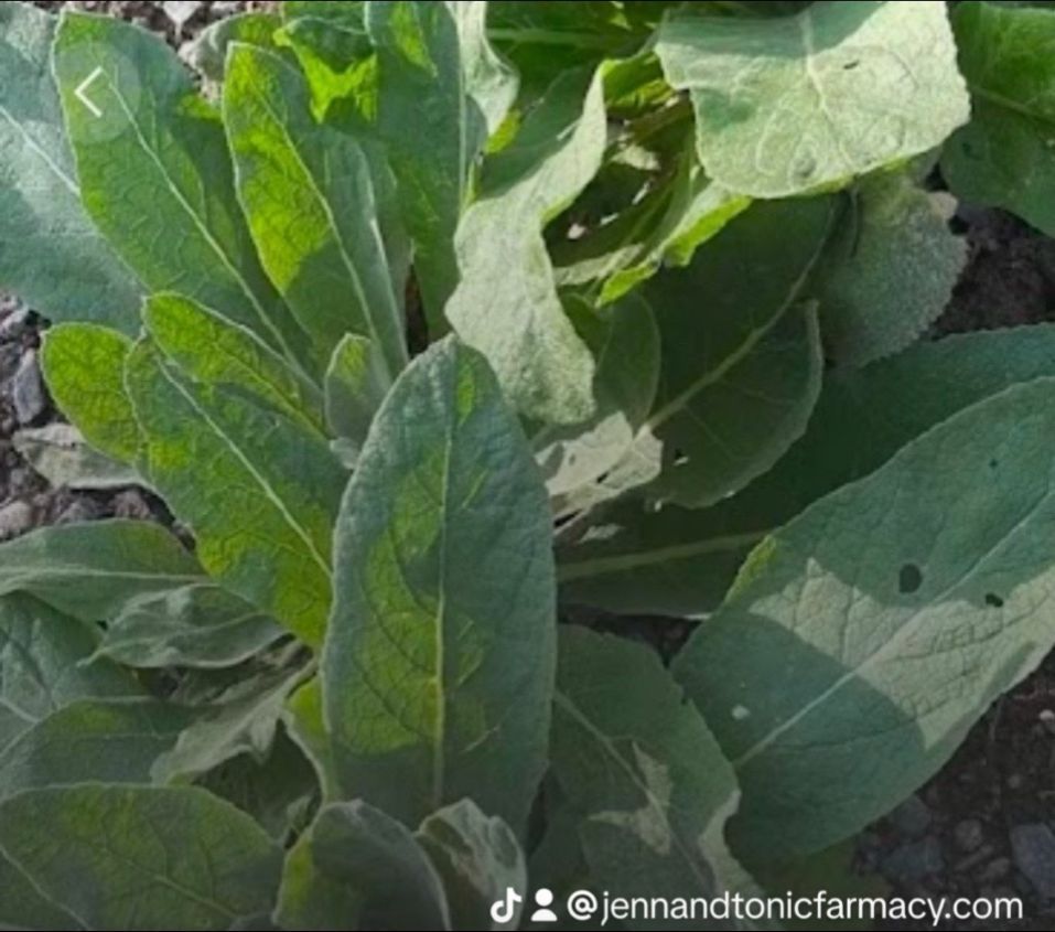 A sign is sitting in the middle of a garden surrounded by plants and rocks.