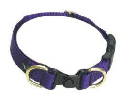 PetSafe Keepsafe 3/4-Inch Medium Break-Away Dog Collar, BLACK.