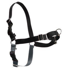 Recommended harness for Pug dog