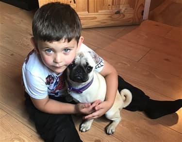Pug dog and young child