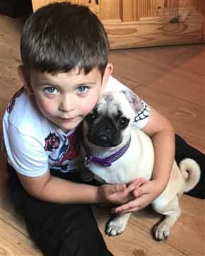 pug dog and young child