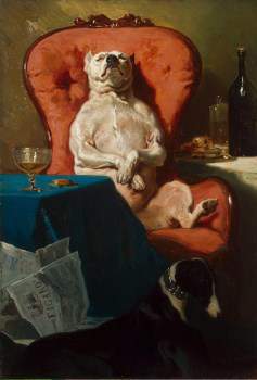 Pug from 1857