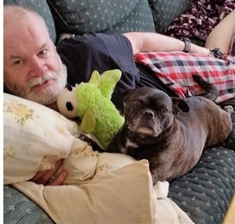 pug-weight-loss-after-pic