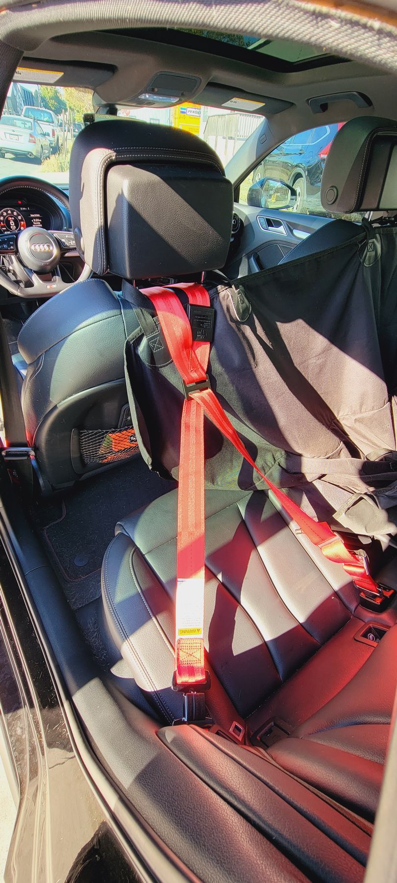 The back seat of a car with a red seat belt | Griffin Motorwerke