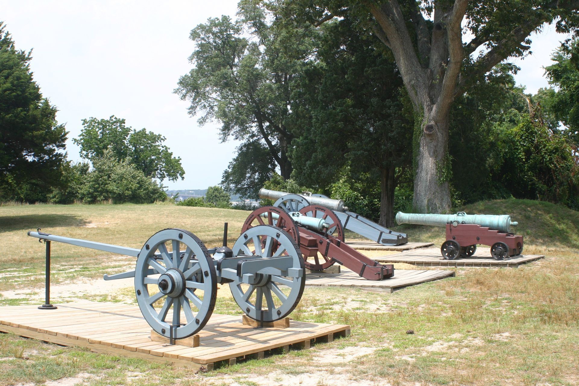 A row of cannons are lined up in a field