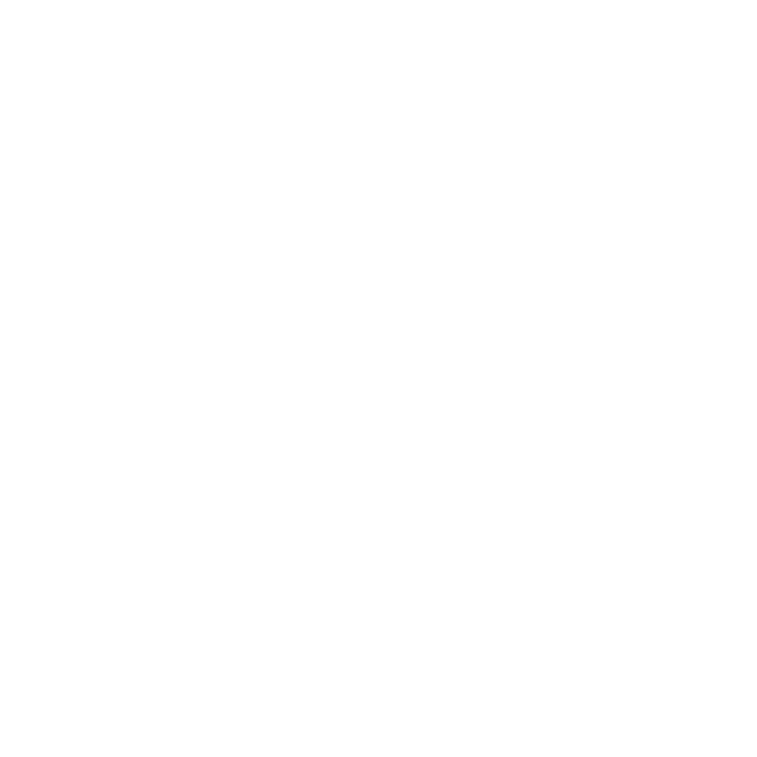 Freedom Tours Logo