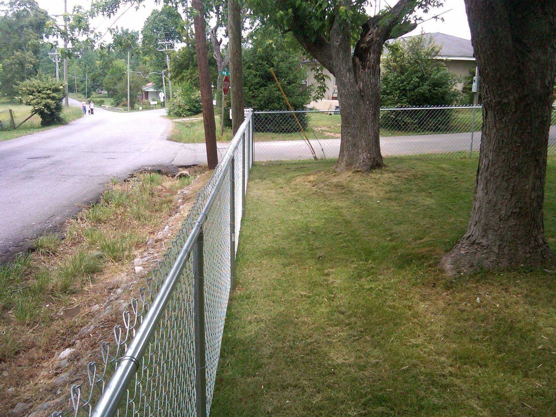 A chain link fence surrounds a lush green yard