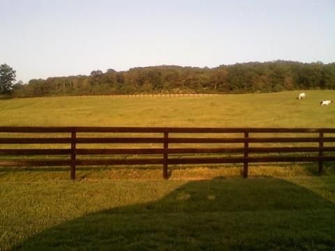 A split rail fence surrounds a grassy field with trees in the background.
