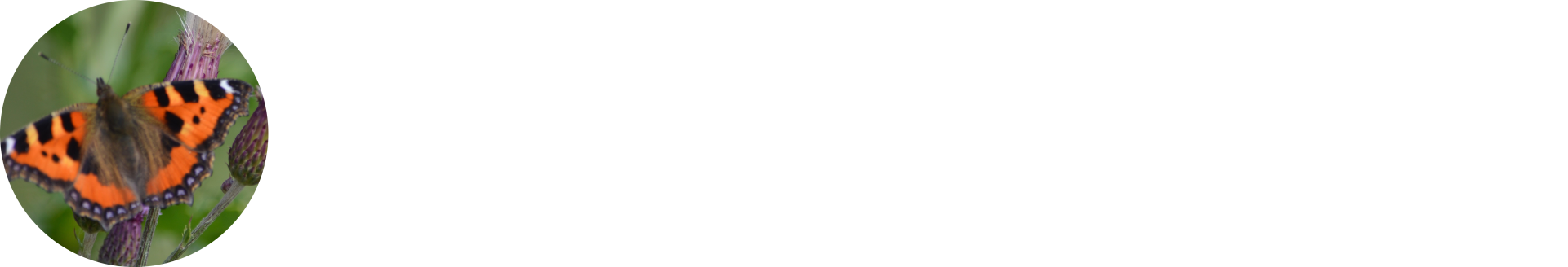 Kathleen Taylor Art and GIfts logo