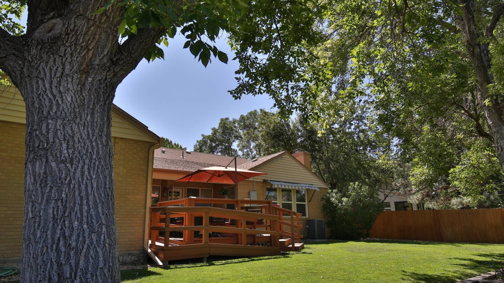 Backyard with wooden deck, umbrella, and lawn; a large tree frames the view.